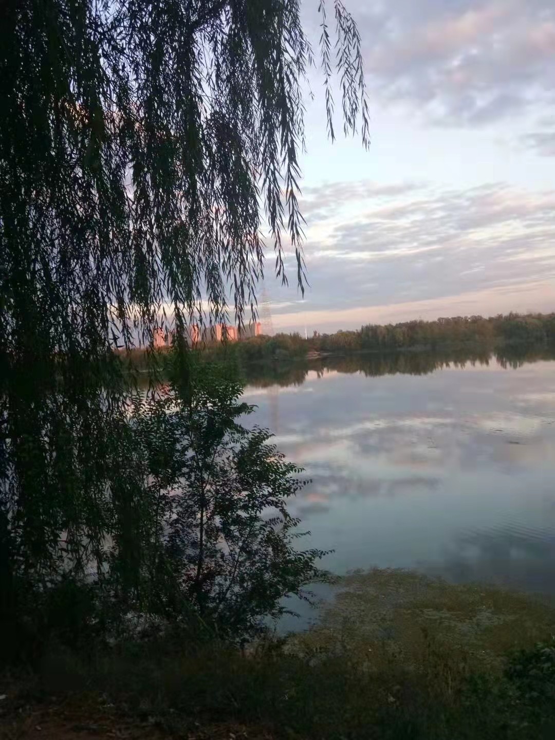 1646800959826830.jpg 微信图片_20211202084730夏天1.jpg
